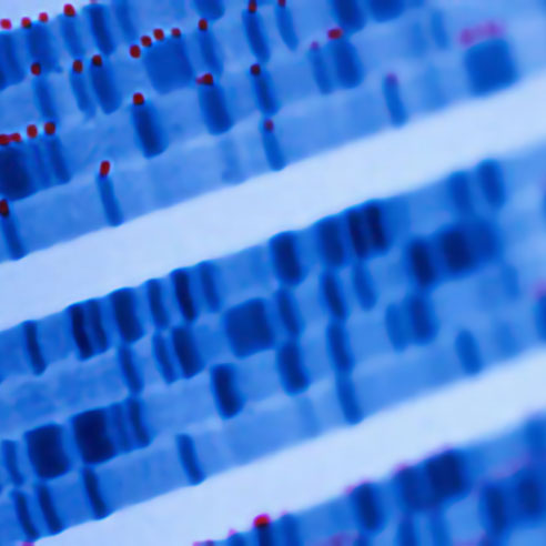Nahaufnahme von DNA-Sequenzdaten. Symbolbild für Kontakt bei Produktreklamationen 