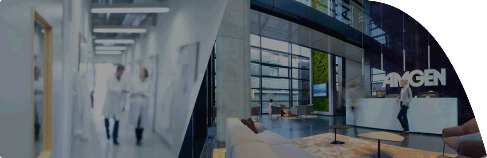 Bild-Montage. Der linke Teil zeigt einen Flur in den Laboren der Amgen Research (Munich) GmbH. Zwei Personen in Laborkitteln gehen den Flur entlang und besprechen etwas. An der Wand hängt ein Schild mit dem Amgenlogo und einer Labornummer. Der rechte Abschnitt zeigt einen modernen, hellen Empfangsbereich mit großen Fensterfronten und Lounge-Möbeln. Am Empfangstresen steht eine Frau, hinter dem Tresen ist das Amgen Logo an der Wand angebracht.